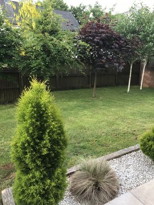 Photo 24- click for photo gallery